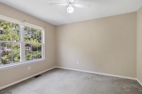 8 Rolling Rapids Ct, Hackettstown, NJ 07840 photo 16