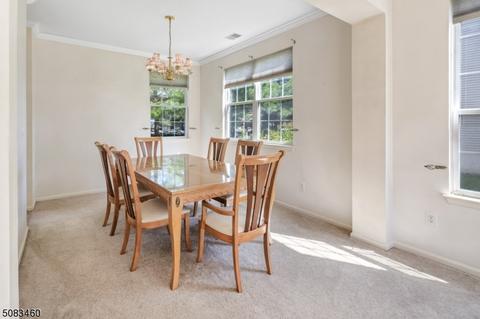 8 Rolling Rapids Ct, Hackettstown, NJ 07840 photo 5