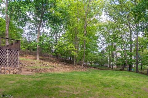 38 Peterson Rd, Wayne, NJ 07470 photo 18