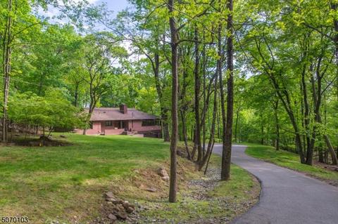 38 Peterson Rd, Wayne, NJ 07470 photo 17