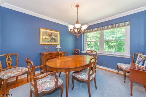 9 Alpine Dr, Wayne, NJ 07470 photo 8