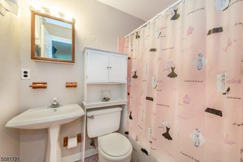 9 Alpine Dr, Wayne, NJ 07470 photo 19