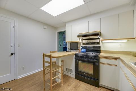 32 Webster Ave, Summit, NJ 07901 photo 6