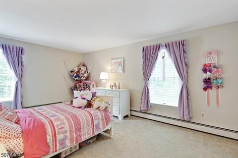 6 Christopher Ct, Mount Olive Twp., NJ 07836 photo 18