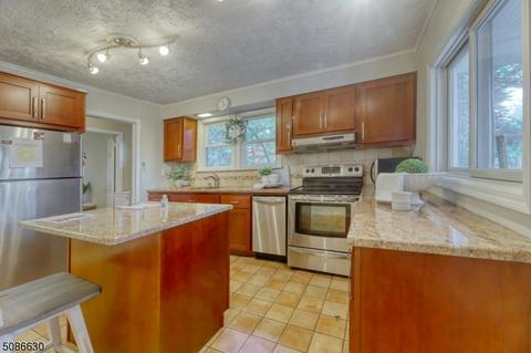 221 Mohawk Trl, Wayne, NJ 07470 photo 9