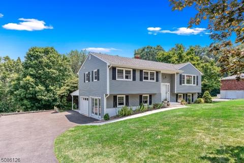 5 Putters Rd, Roxbury Twp., NJ 07876 photo 2