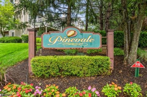 6 Pine Ct, Bedminster, NJ 07921 photo 2