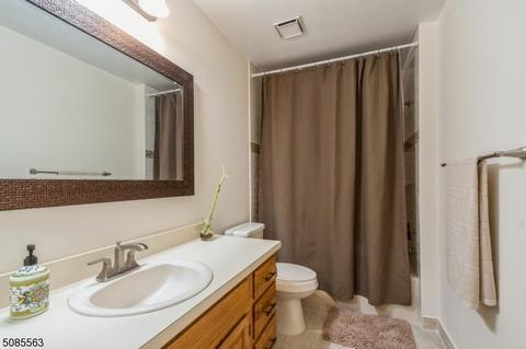 6 Pine Ct, Bedminster, NJ 07921 photo 11