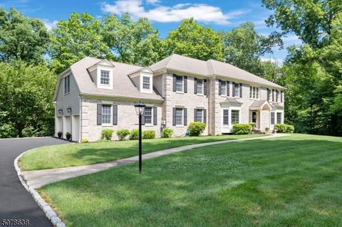 11 Mcvickers Ln, Mendham, NJ 07945 photo 1