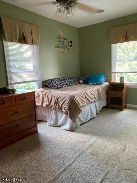 115 Main St, Hampton, NJ 08827 photo 34