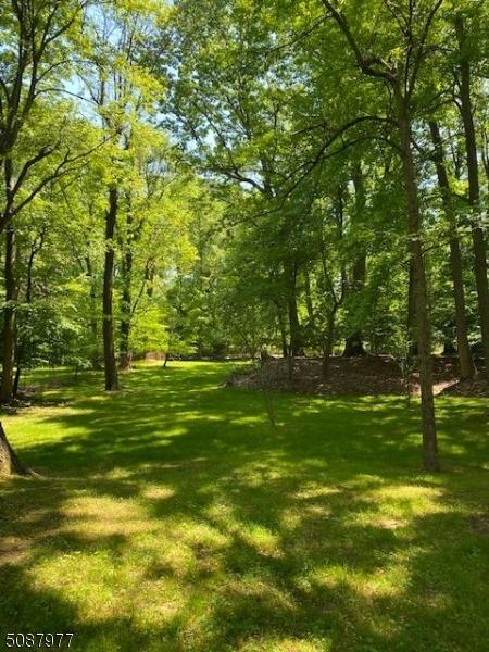 32 Ten Eyck Pl, Edison, NJ 08820 photo 4