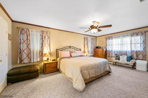 16 Ryan Way, Hackettstown, NJ 07840 photo 19