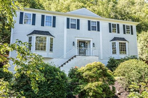 41 Springhill Rd, Randolph, NJ 07869 photo 24