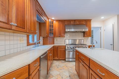 41 Springhill Rd, Randolph, NJ 07869 photo 4