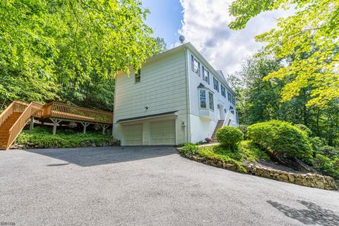 41 Springhill Rd, Randolph, NJ 07869 photo 18