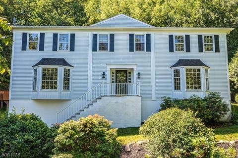 41 Springhill Rd, Randolph, NJ 07869 photo 1