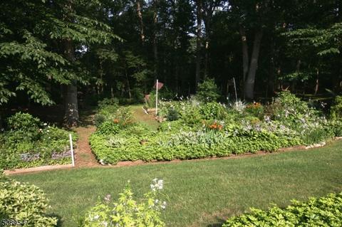 1018 Rector Rd, Bridgewater, NJ 08807 photo 21