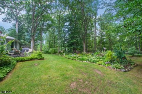 1018 Rector Rd, Bridgewater, NJ 08807 photo 3