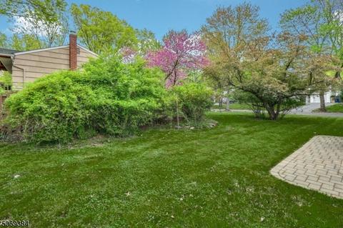 943 Cushing Pl, Plainfield, NJ 07062 photo 23