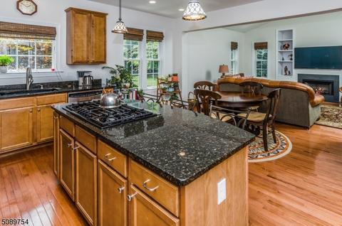 82 Bedford Dr, Skillman, NJ 08558 photo 9
