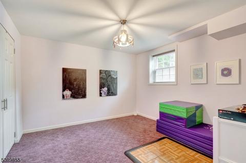 22 Geneva Ct, Wayne, NJ 07470 photo 28