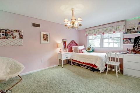 22 Geneva Ct, Wayne, NJ 07470 photo 22