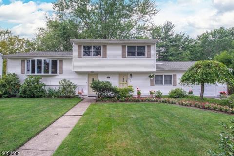 65 Laauwe Ave, Wayne, NJ 07470 photo 1