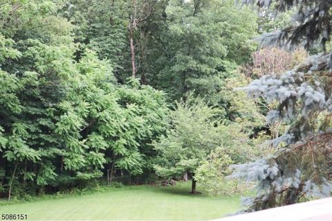 4 Lee Hill Rd, Byram Township, NJ 07821 photo 8