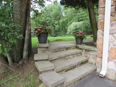 35 Diller Way, Hampton, NJ 08827 photo 5