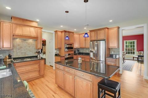 9 Diorio Ct, Wayne, NJ 07470 photo 3