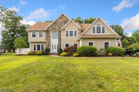 9 Diorio Ct, Wayne, NJ 07470 photo 1