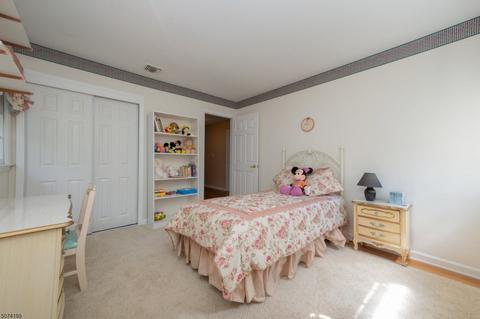 153 Konner Ave, Pine Brook, NJ 07058 photo 20