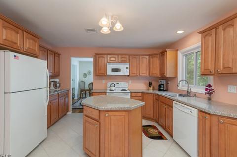 153 Konner Ave, Pine Brook, NJ 07058 photo 8
