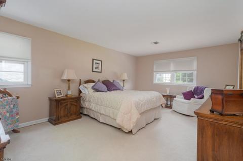 153 Konner Ave, Pine Brook, NJ 07058 photo 15