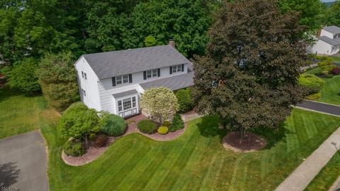 153 Konner Ave, Pine Brook, NJ 07058 photo 2
