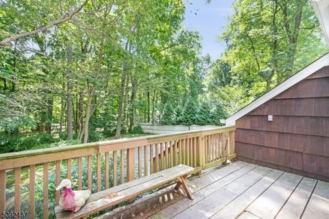 11 Carroll Dr, Mendham, NJ 07945 photo 21