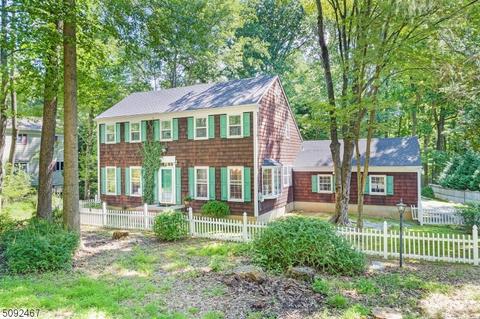 11 Carroll Dr, Mendham, NJ 07945 photo 1
