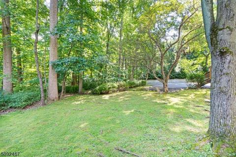 11 Carroll Dr, Mendham, NJ 07945 photo 23