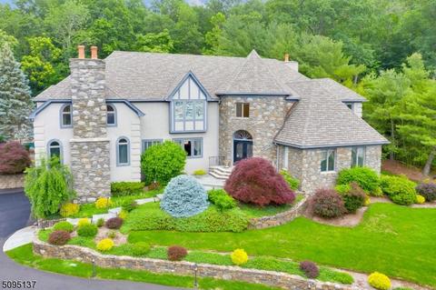 8 Shadow Ridge Run, Wayne, NJ 07470 photo 1
