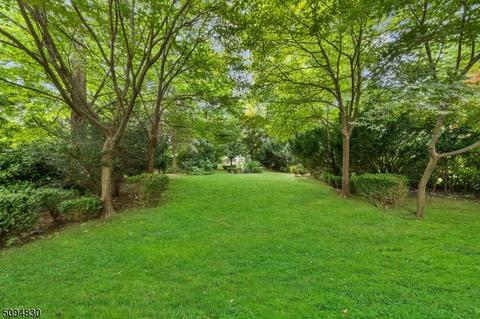 1425 Edwin Pl, Plainfield, NJ 07062 photo 10