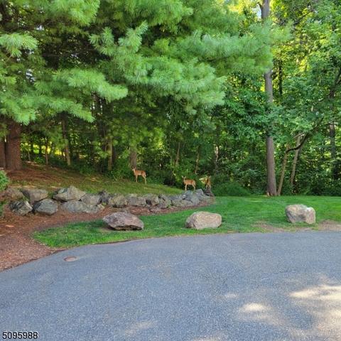 29 Rainier Ct, Hackettstown, NJ 07840 photo 20