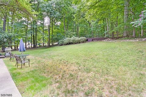 18 E Fox Chase Rd, Chester, NJ 07930 photo 5