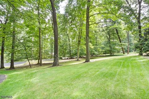 18 E Fox Chase Rd, Chester, NJ 07930 photo 4