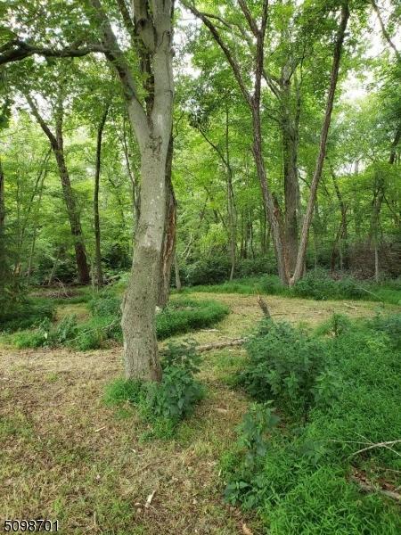 44 Brookside Ave, Old Bridge, NJ 08857 photo 7