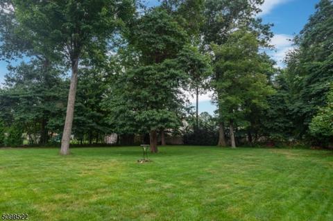 9 Saunders Ln, Hackettstown, NJ 07840 photo 30