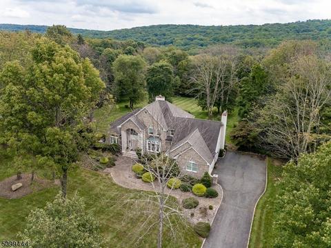 9 Ursula Ct, Mendham, NJ 07945 photo 30
