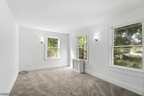 1209 Radcliffe Pl, Plainfield, NJ 07062 photo 21