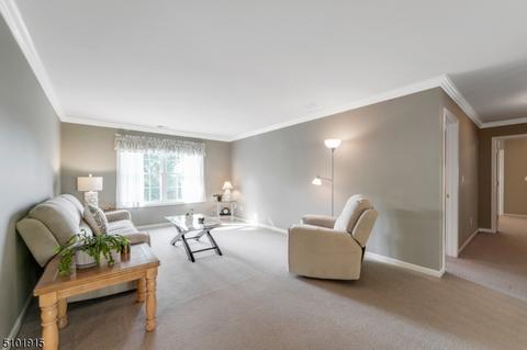 22 Setting Sun Dr, Hackettstown, NJ 07840 photo 22