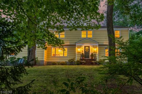 236 Lyons Rd, Basking Ridge, NJ 07920 photo 23