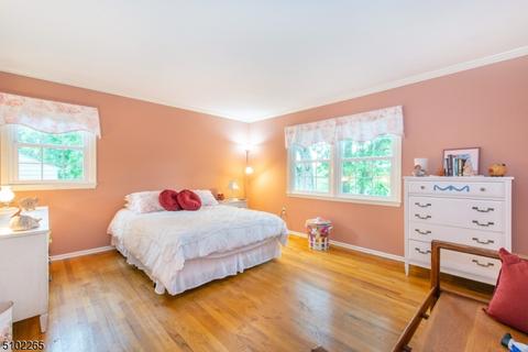 236 Lyons Rd, Basking Ridge, NJ 07920 photo 10